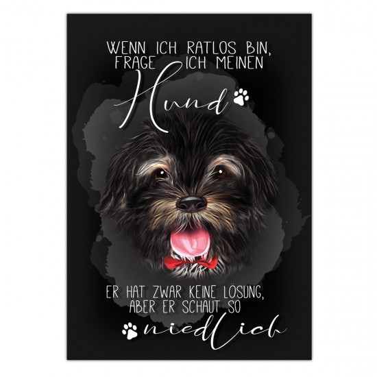 Postkarte -  Pfotenliebe ♥ "Wenn ich ratlos bin, frage ich meinen Hund. Er hat zwar keine Lösung, aber er schaut so niedlich.",  DIN A6, 14,8cm  x 10,5 cm