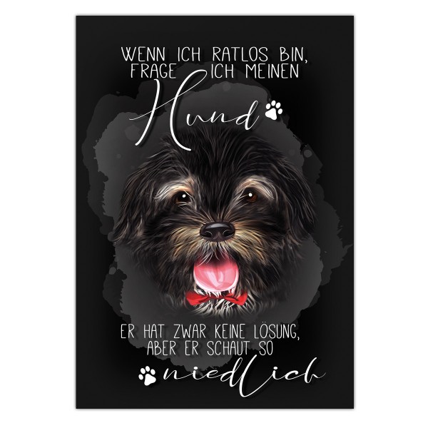 Postkarte -  Pfotenliebe ♥ "Wenn ich ratlos bin, frage ich meinen Hund. Er hat zwar keine Lösung, aber er schaut so niedlich.",  DIN A6, 14,8cm  x 10,5 cm